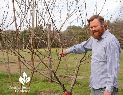 Winter Pruning: When and How | Central Texas Gardener