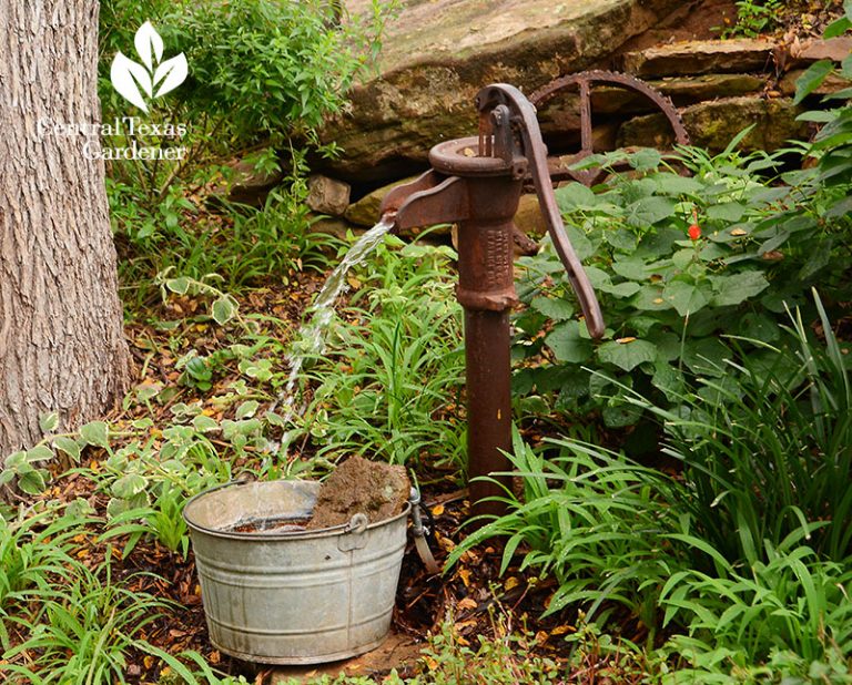 Dry Creek Bed Design + Native Plant Design Lake Buchanan | Central ...