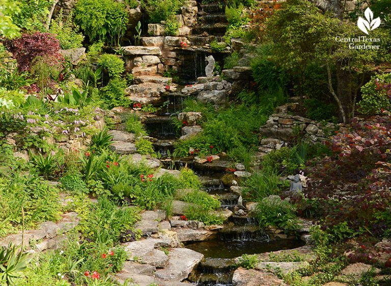 Dry Creek & Ravine Waterfall Design, Sedge Lawn, Wimberley Gardens ...