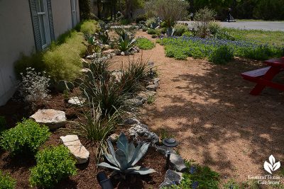 Planting in a Post-Wild World: At Home & Beyond | Central Texas Gardener