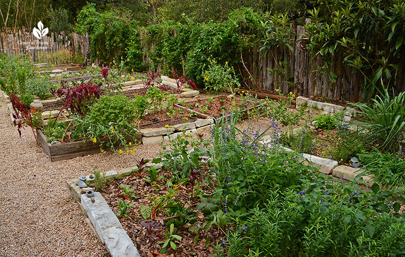 Growing Wellness in a Garden: Meredith Thomas | Central Texas Gardener