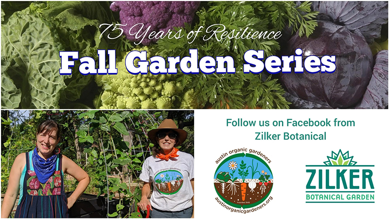 Austin Organic Gardeners Fall Garden Series Central Texas Gardener