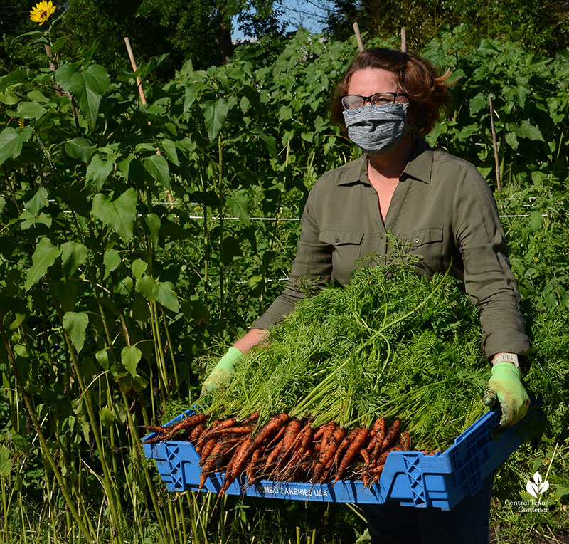 Lea Scott female farmer Este Garden with carrot harvest