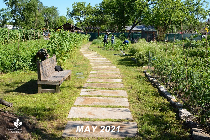 Este Garden main path to building May 2021