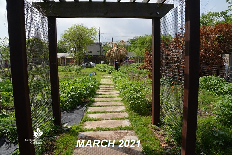 Este garden main path to street March 2021