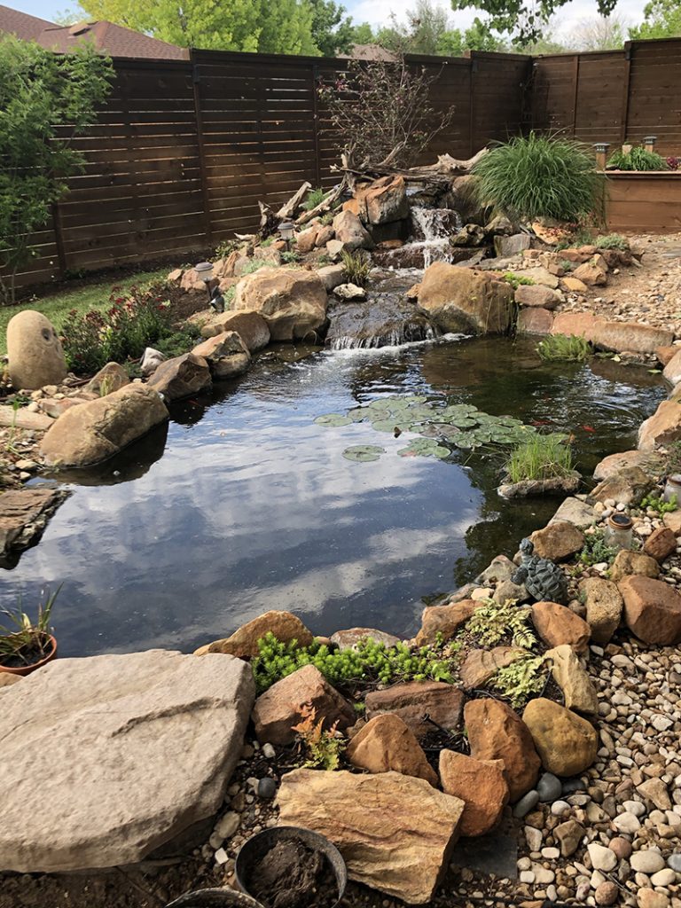 Dive In: Austin Pond Society Tour 2021 | Central Texas Gardener