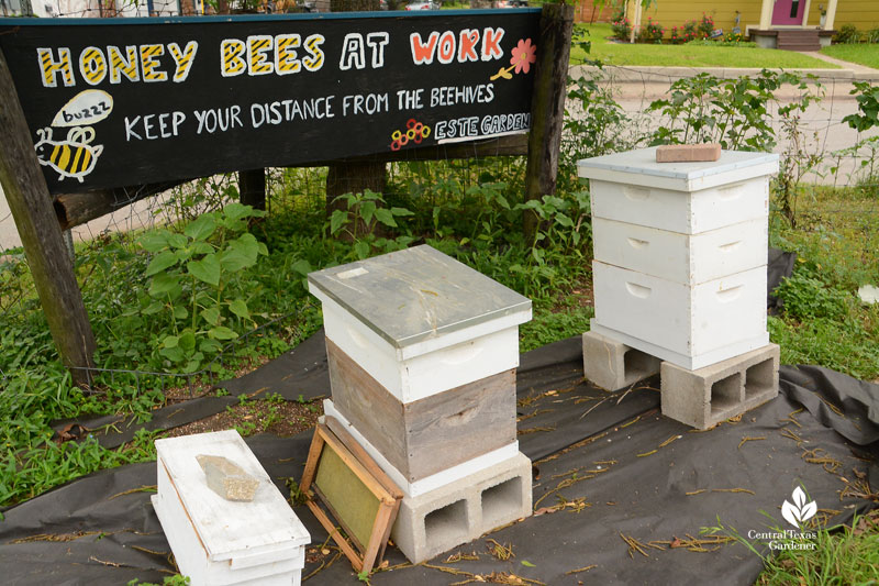 Two Hives Honey beehives at Este Garden