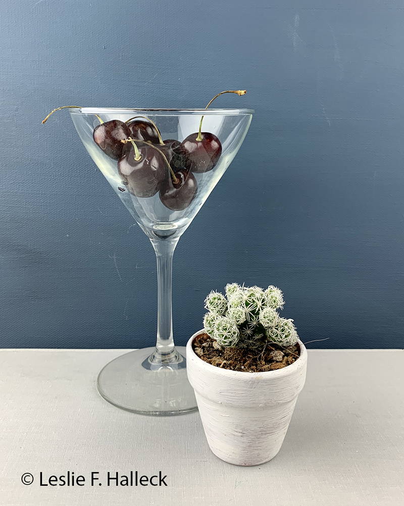 martini glass with cherries and thimble cactus in small container