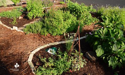 Permaculture Garden Design: Suthi and Sanjay Nagar | Central Texas Gardener