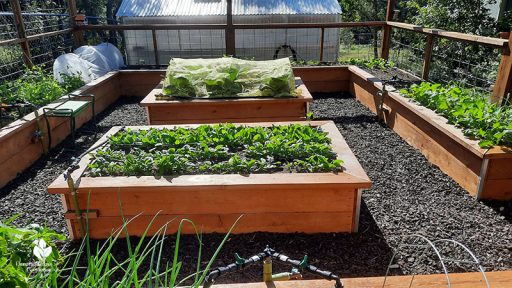 Enclosed Raised Bed Garden Design | Central Texas Gardener