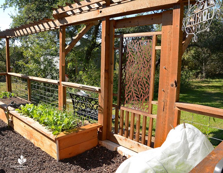 Enclosed Raised Bed Garden Design | Central Texas Gardener