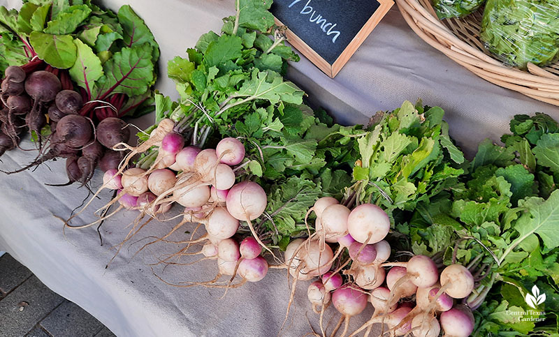 beets and turnips