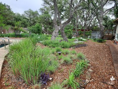 Blog | Central Texas Gardener
