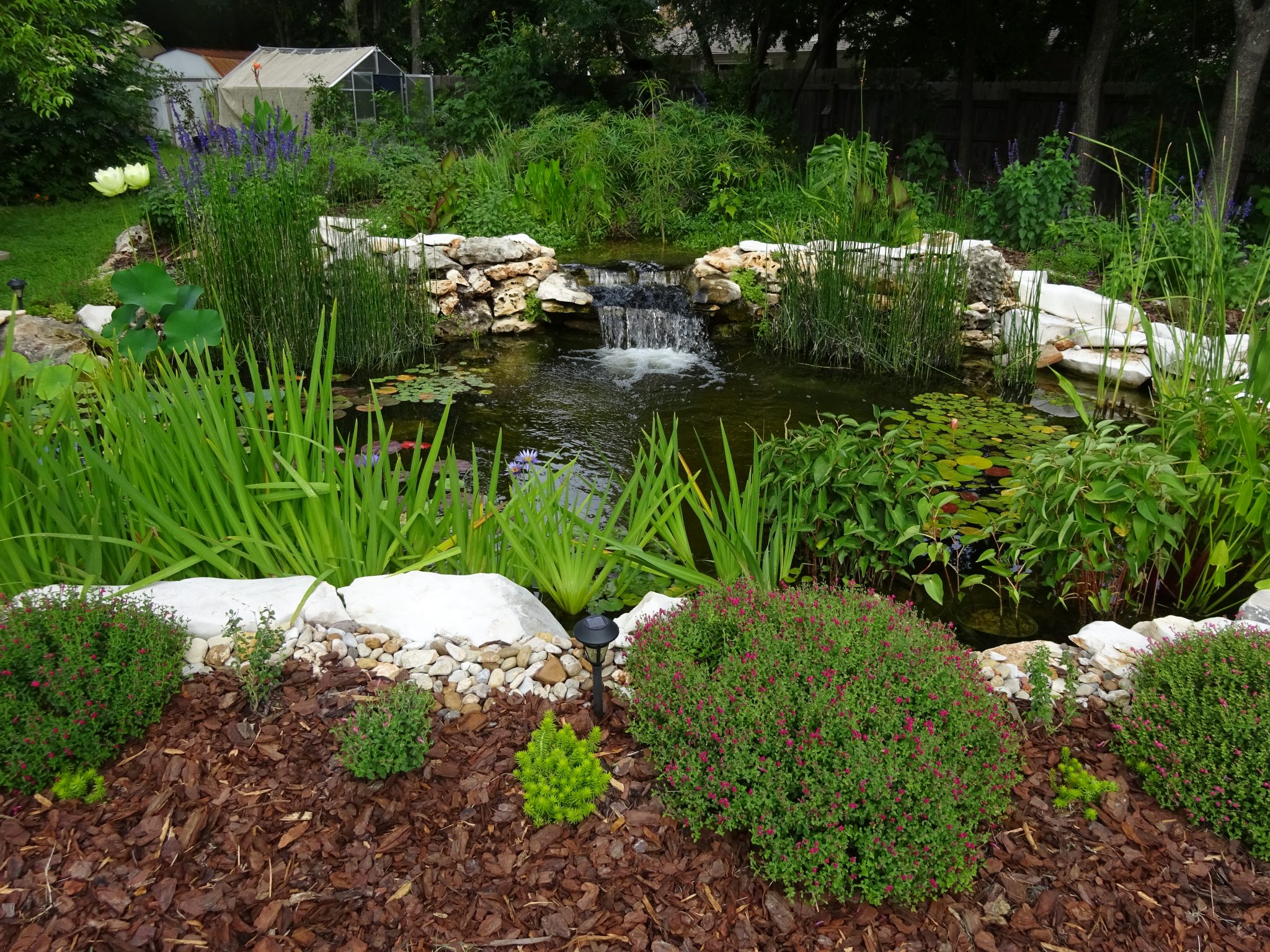 Blog | Central Texas Gardener