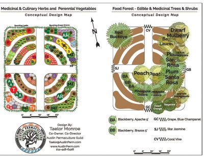 graphic design of food forest