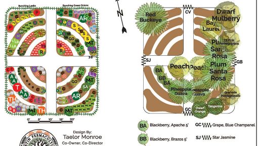 graphic design of food forest