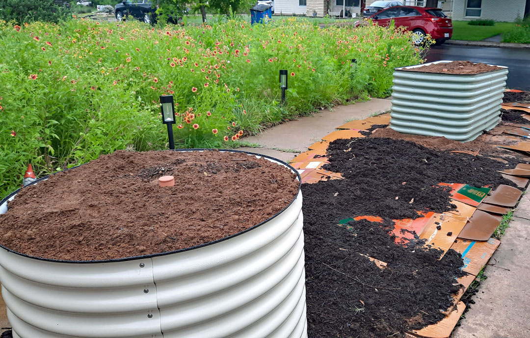 driveway planting bed: cardboard covered with mulch and compost; raised metal planters 