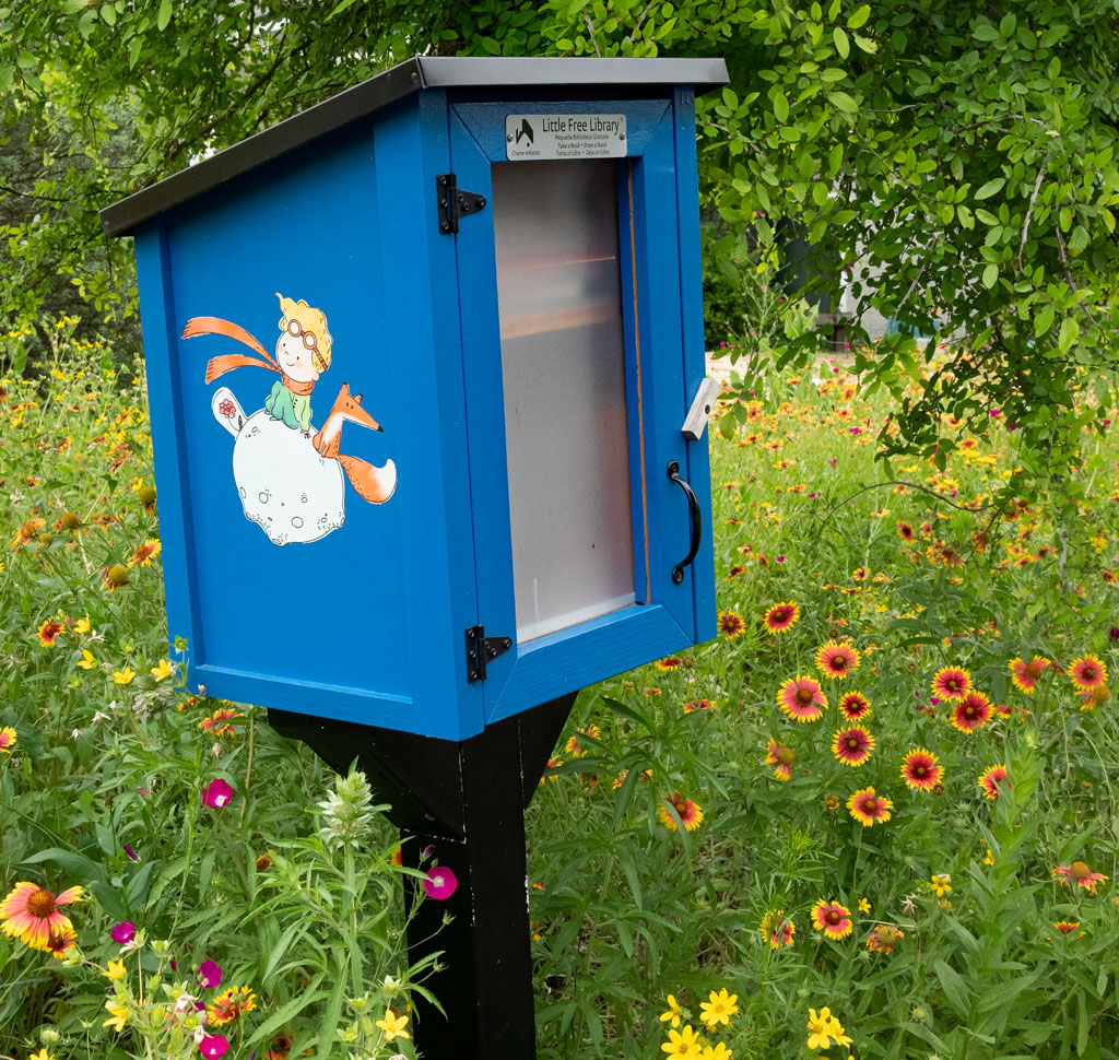 bright blue little library among wildflowers 