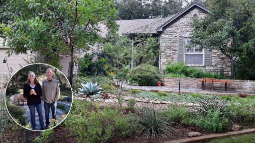 multi-level plants in front of house