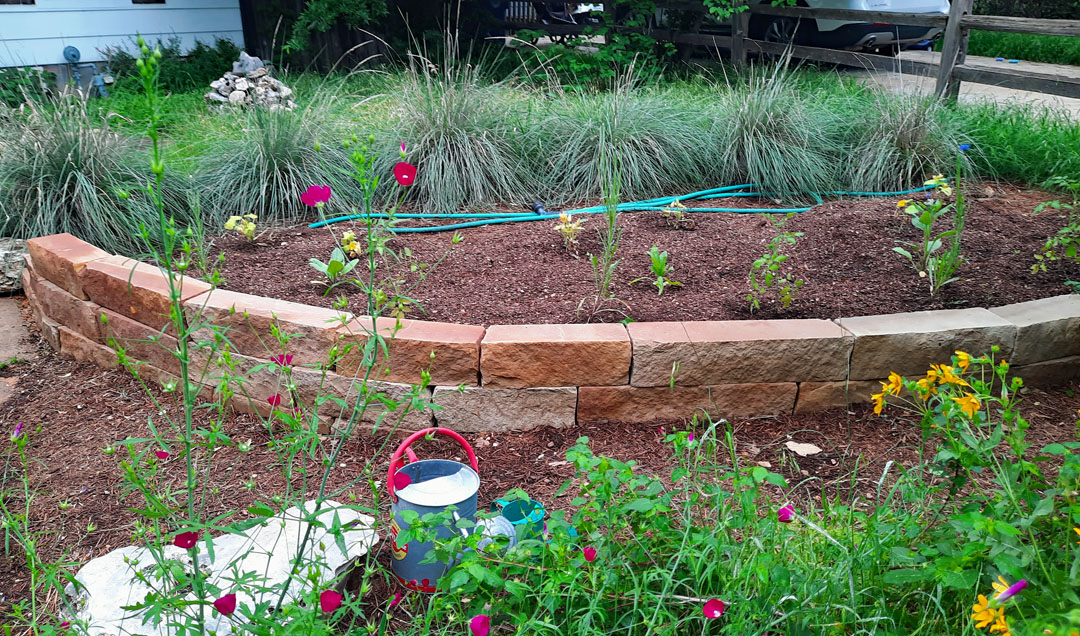 concrete block raised bed framed by wildflowers and clump grass 