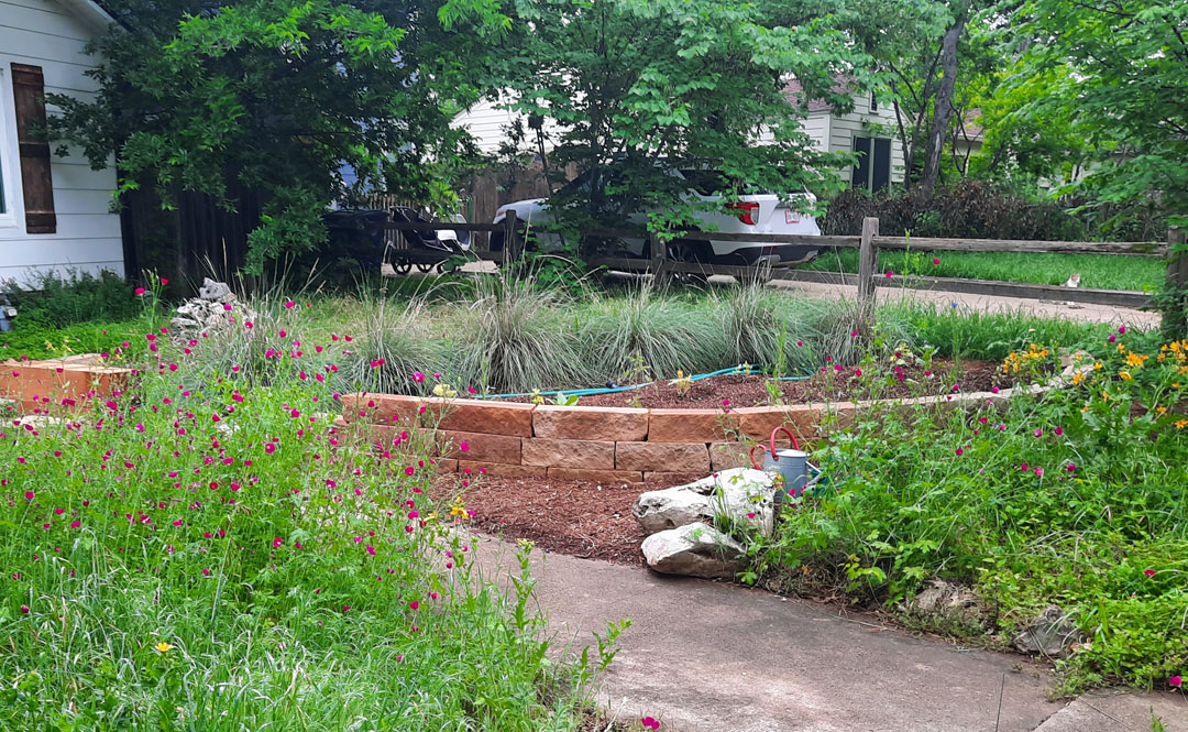 tall clumping grasses frame concrete block raised bed across sidewalk from wildflowers 