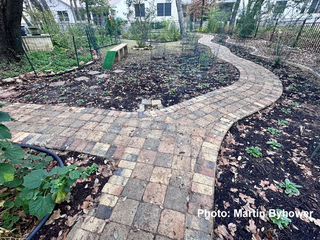 paver path through shady backyard 