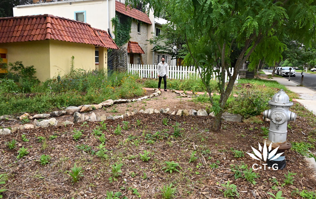 man walking on path in yard with new plants and mulch and wildflowers