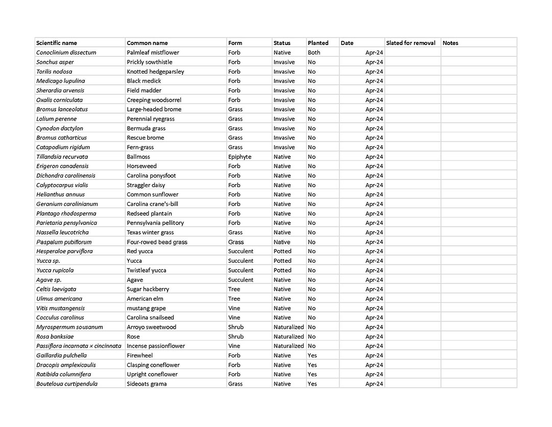 spreadsheet of plant names and dates