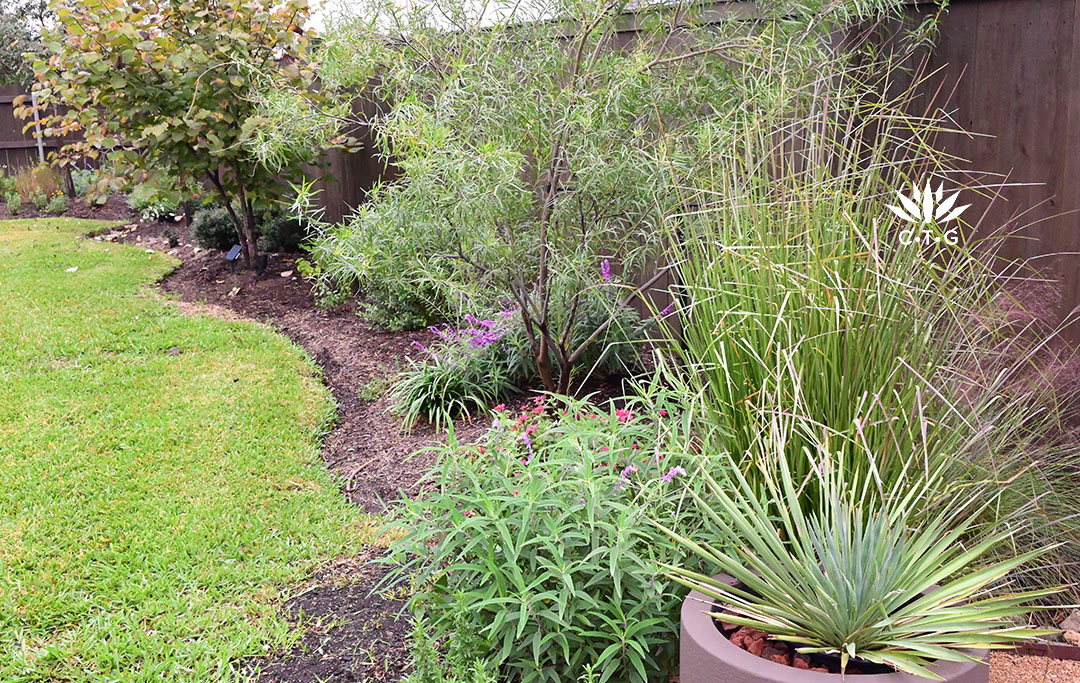 various plants against fence 