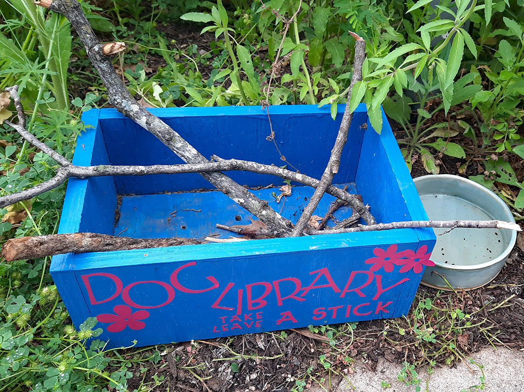 bright blue small wooden box with sticks in it; painted on Dog Library, Take a Stick, Leave a Stick 