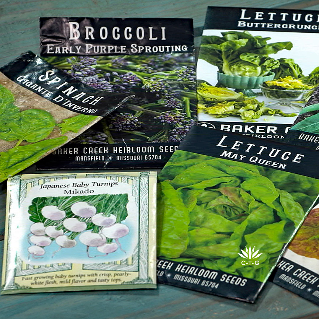 seed packets of broccoli, turnips, spinach and lettuce