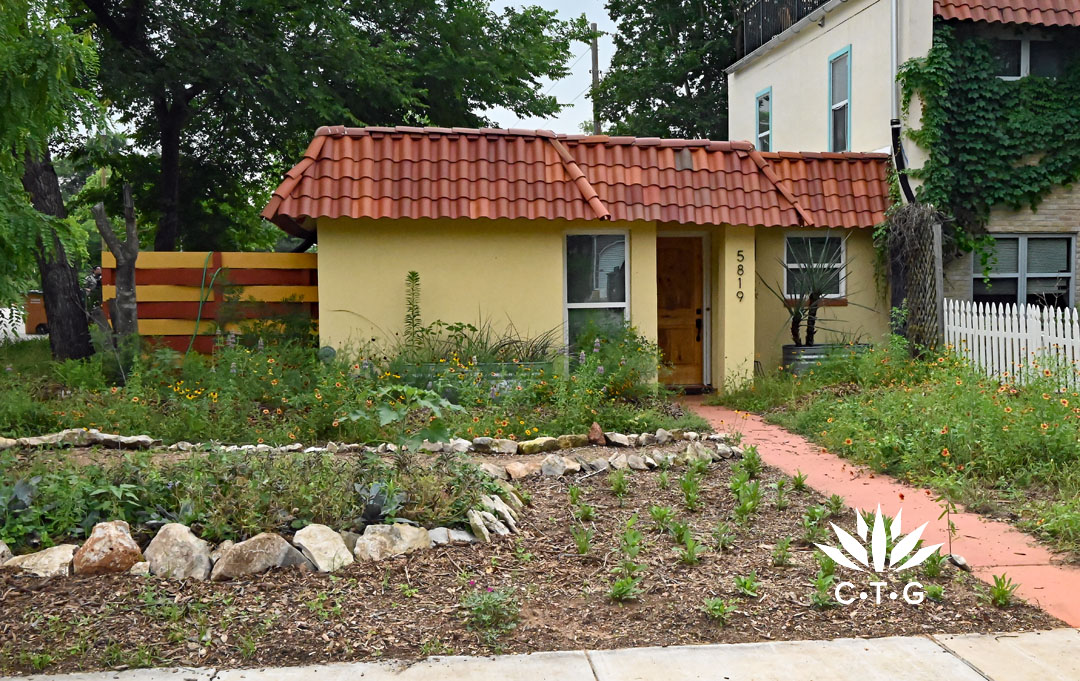 new plants in mulch of front of small house 