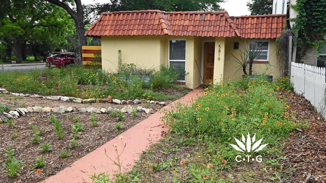 front yard of small house with new plants and wildflowers 