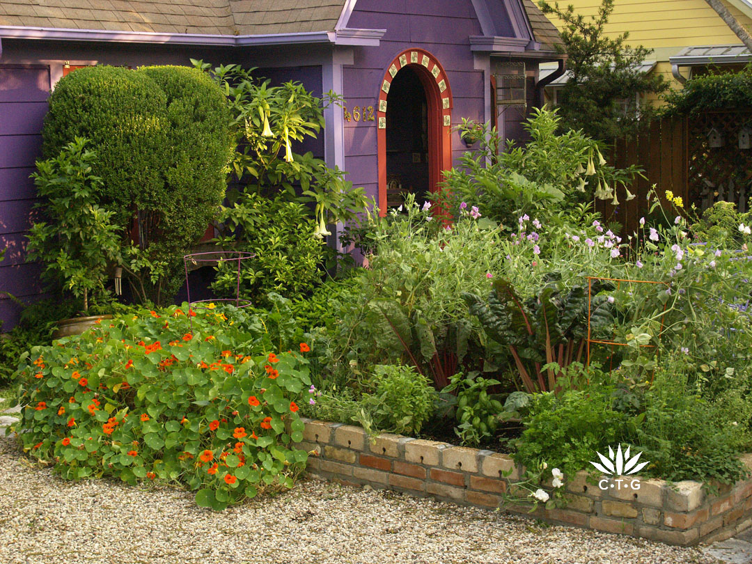 colorful cottage garden against purple house