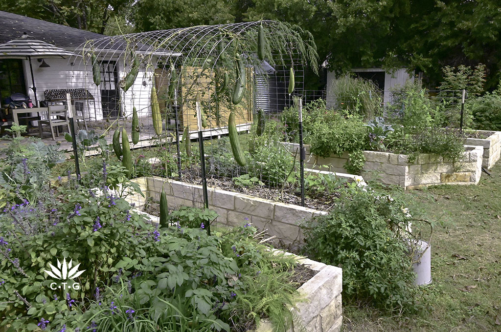 raised stone vegetable beds