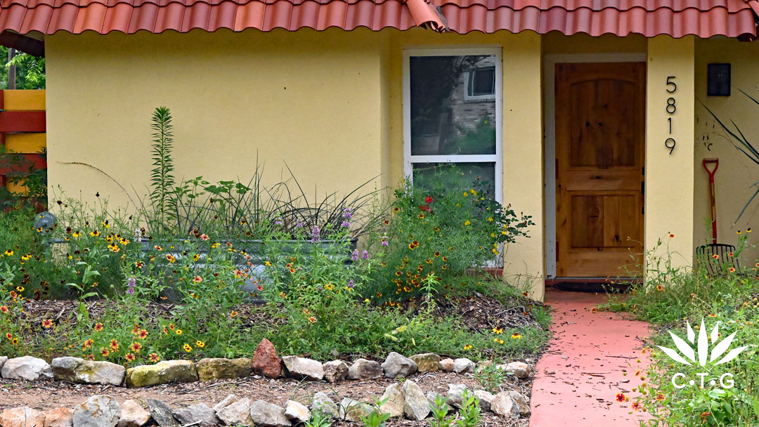 stock tank with wildflowers and perennials at front door