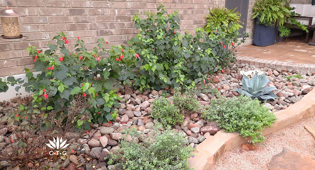 stone edged bed against house with various plants 