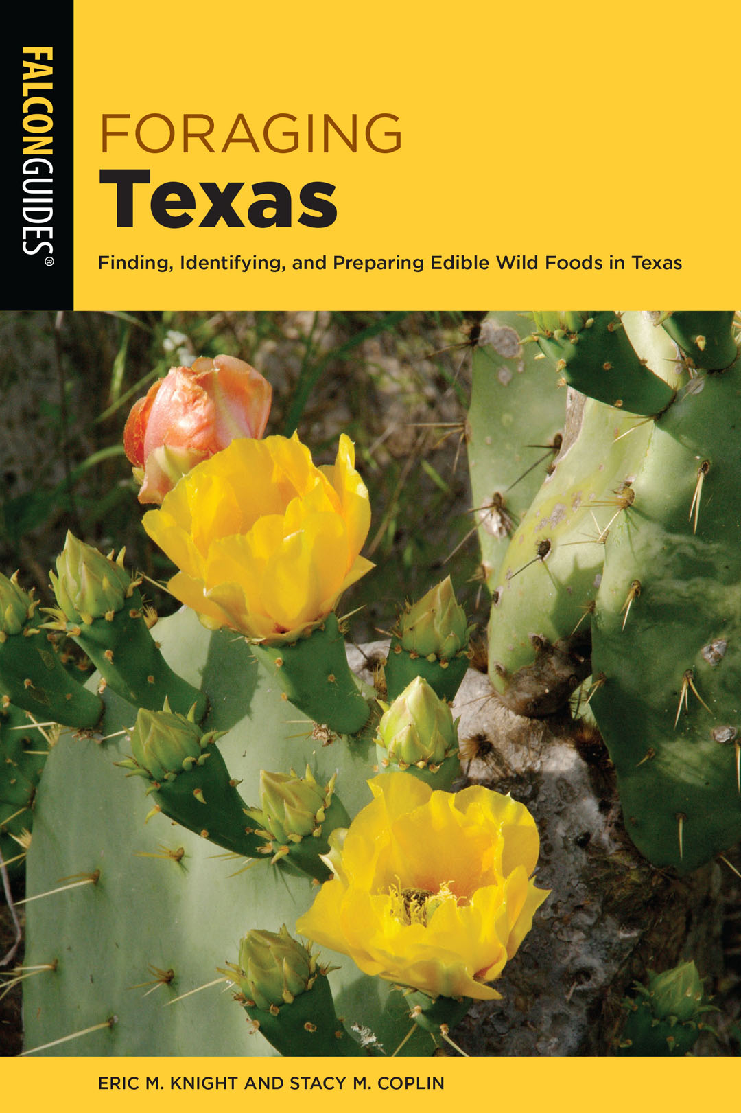 book cover for Foragint Texas (yellow borders and featuring yellow flowers on prickly pear cactus)