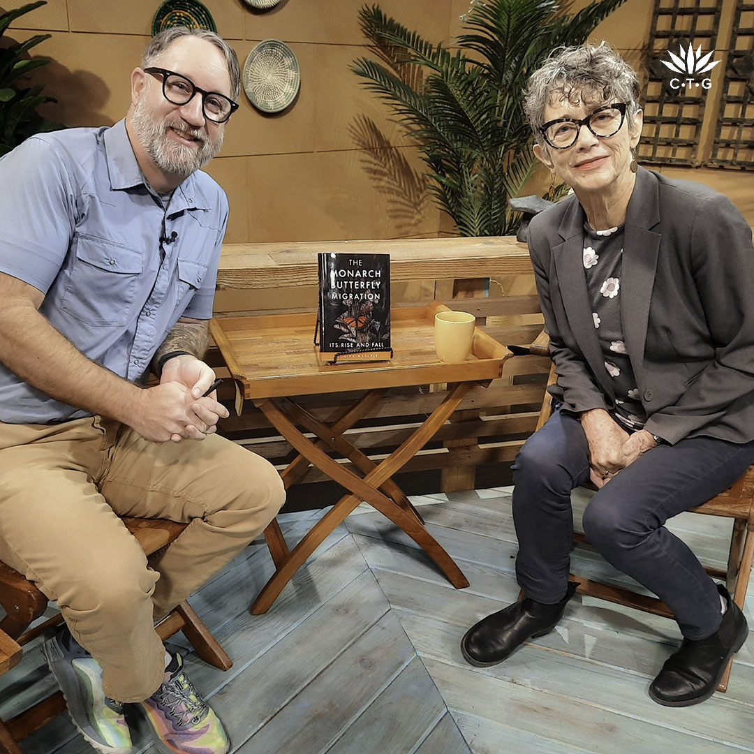 man and woman on TV set