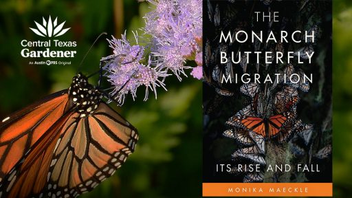 Monarch Migration book cover