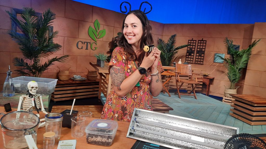 woman holding stuffed animal caterpillar in TV studio 