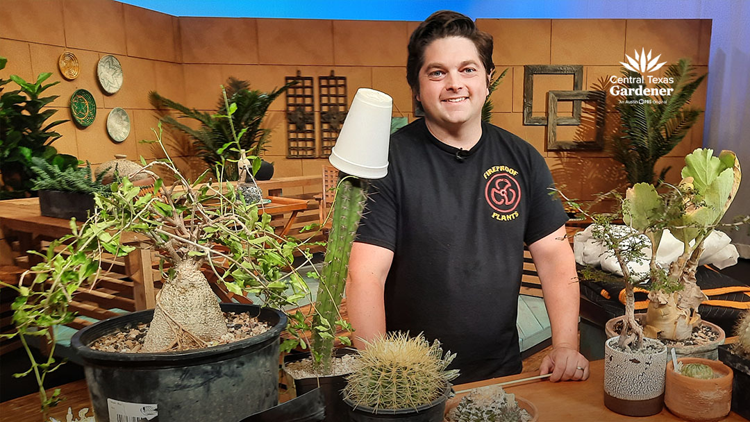 man in TV studio with cactus plants and various succulents