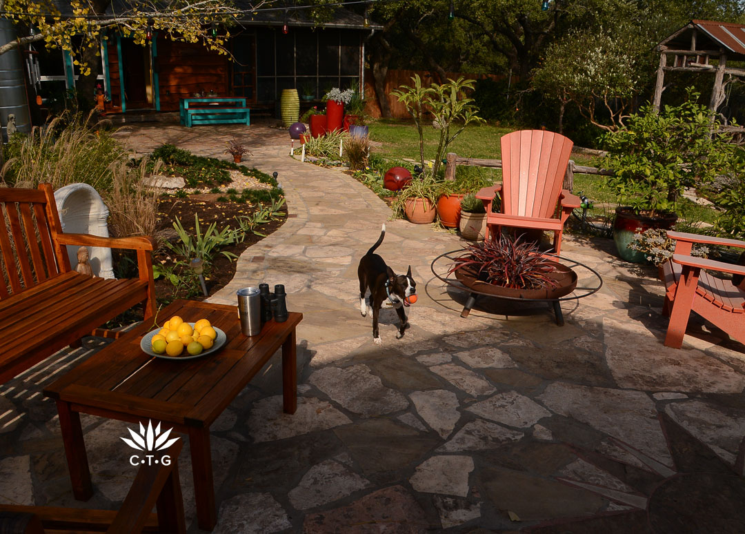 dog running down stone path bordered with outdoor furniture and container plants