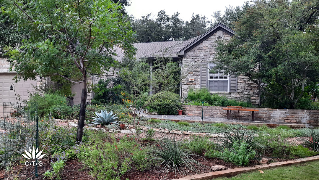 front yard garden in layers of native trees, perennials, and groundcovers 
