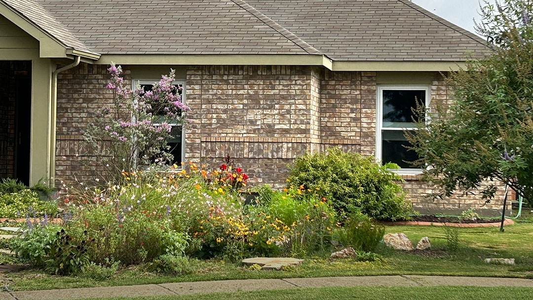 colorful garden in front of house