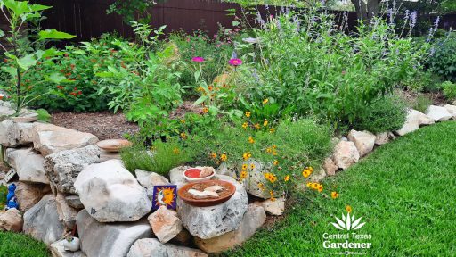 rock bordered perennial garden