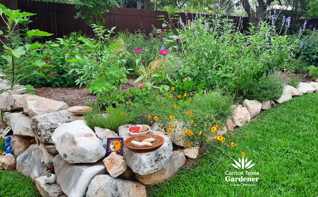 rock bordered perennial garden