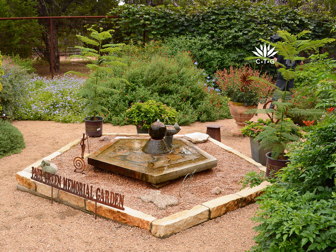 shallow pond and sipping ledge for birds and pollinators