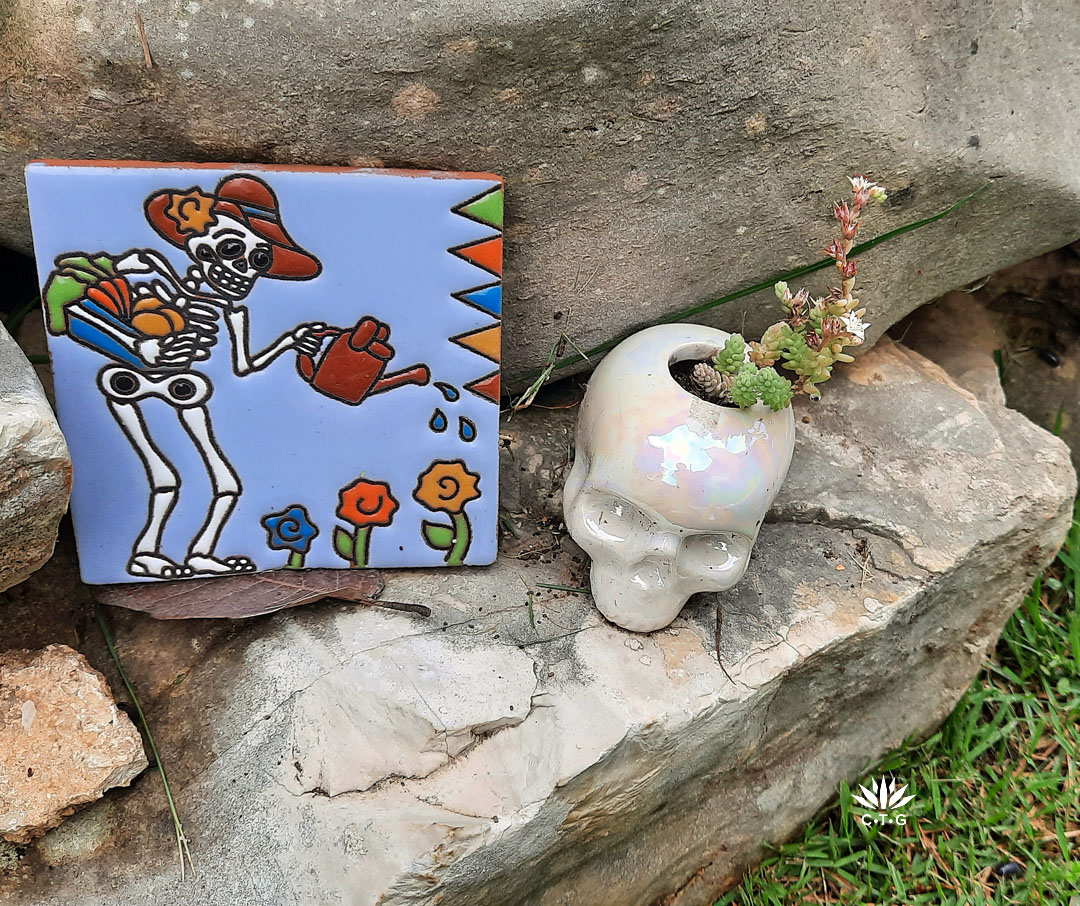 colorful Day of the Dead ceramic tile with small skull-shaped container holding a sedum. Both sit on a limestone rock edging. 