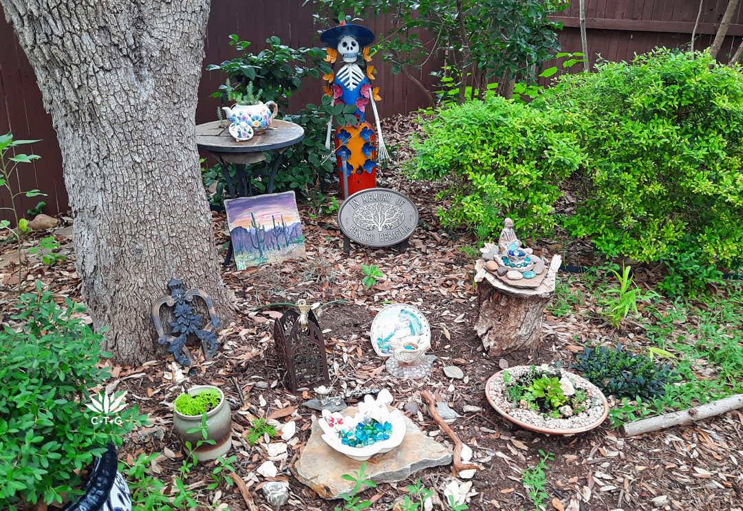 various trinkets and plaque under tree trunk